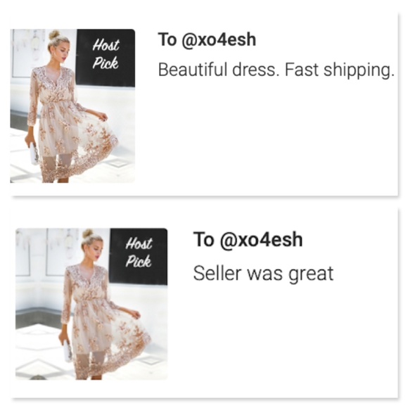 Tan Midi V-Neck Mesh Dress with Rosegold Sequins - Picture 8 of 13